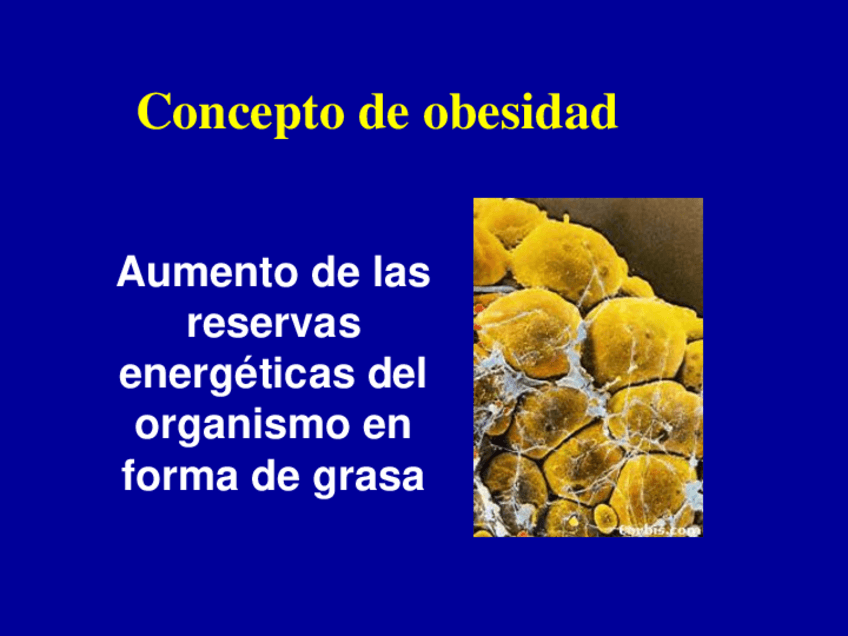Miniatura del documento OBESIDAD-UCM.pdf