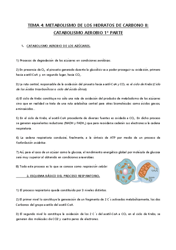 Miniatura del documento TEMA 4 bq metabolica.pdf