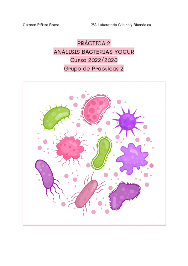 Miniatura del documento Practica-2-Carmen-Pinero-Bravo.pdf
