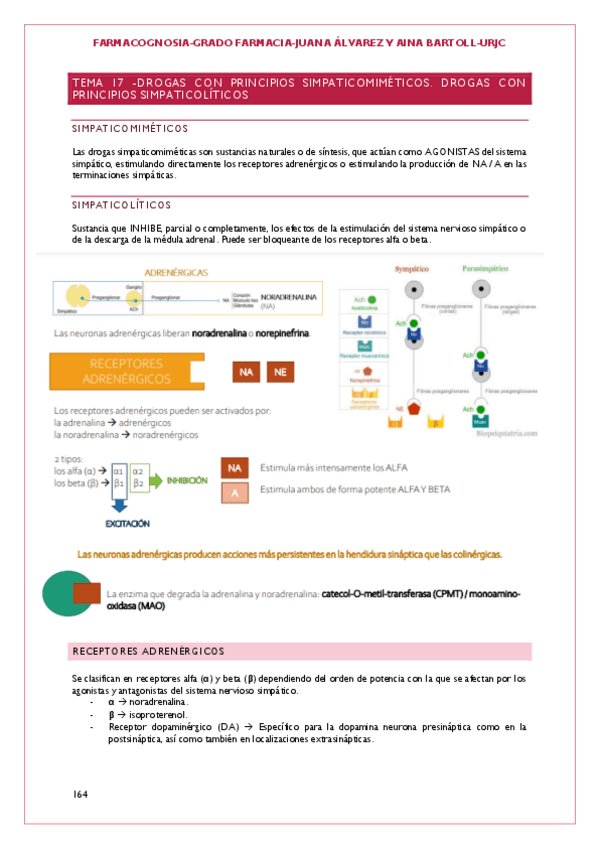 Miniatura del documento Tema-17.pdf