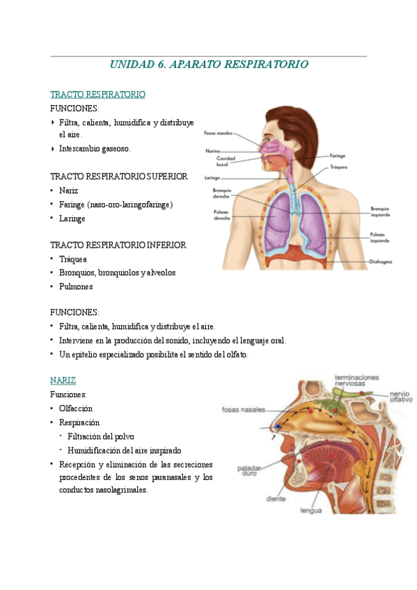 Miniatura del documento UNIDAD-6.pdf