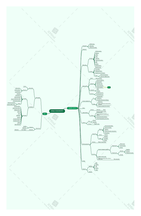 Miniatura del documento Mapa-conceptual-bio-8.pdf