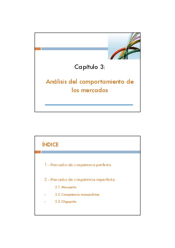Miniatura del documento Diapositivas-CAPITULO-3-2-por-pagina.pdf