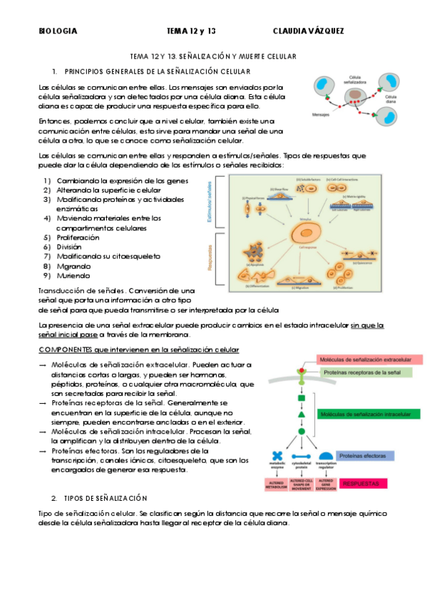 Miniatura del documento temas-12-y-13.pdf