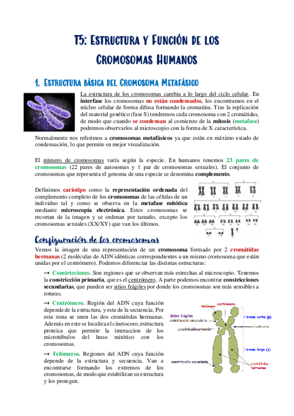 Miniatura del documento T5.pdf