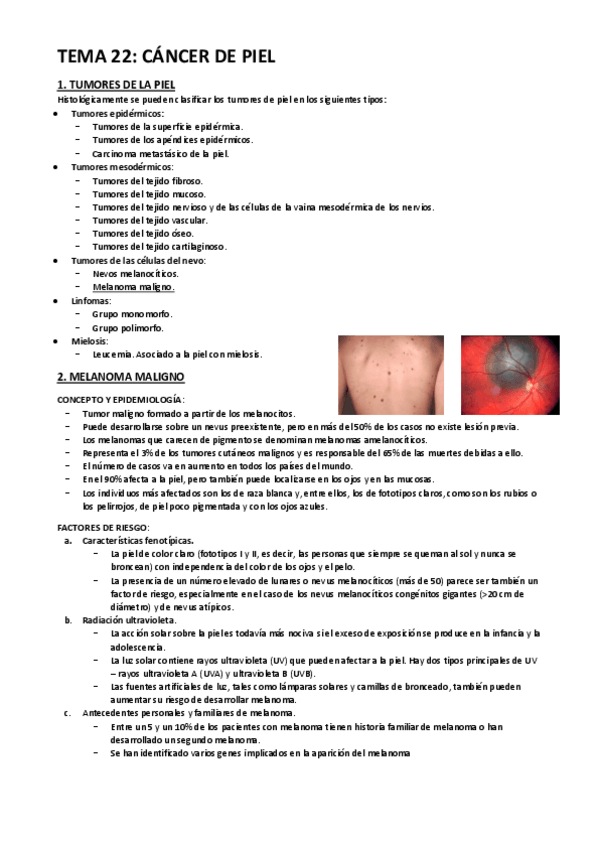 Miniatura del documento TEMA-22.pdf