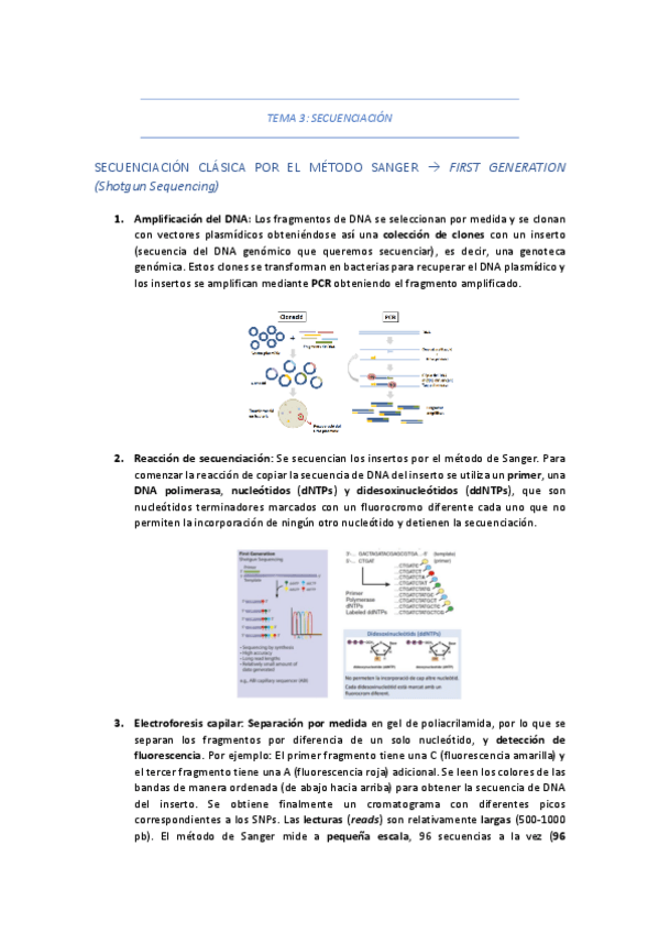 Miniatura del documento TEMA-3-SECUENCIACION-ENSAMBLAJE-Y-ANOTACION-DE-GENOMAS.pdf