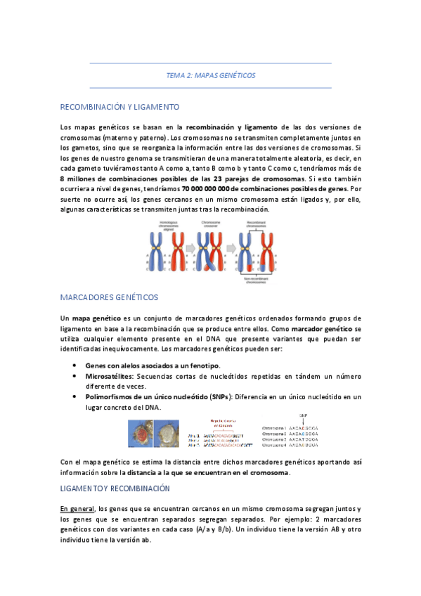 Miniatura del documento TEMA-2-MAPAS-GENETICOS-Y-FISICOS.pdf