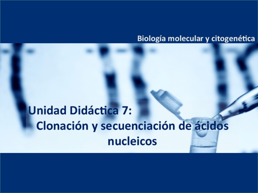 Miniatura del documento UD7.pdf