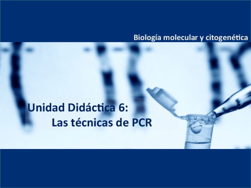 Miniatura del documento 6.pdf