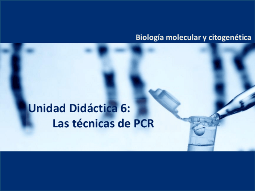 Miniatura del documento 6.pdf