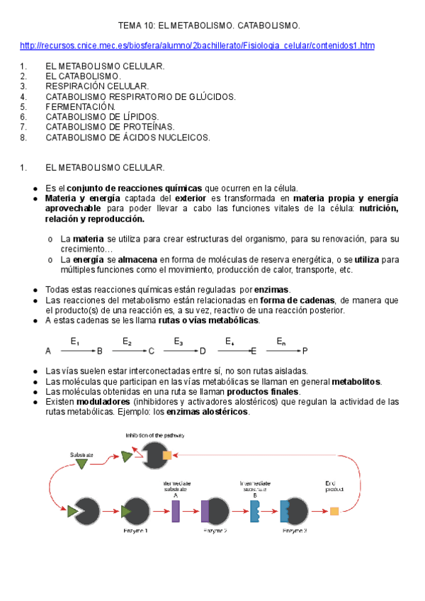 Miniatura del documento T.pdf