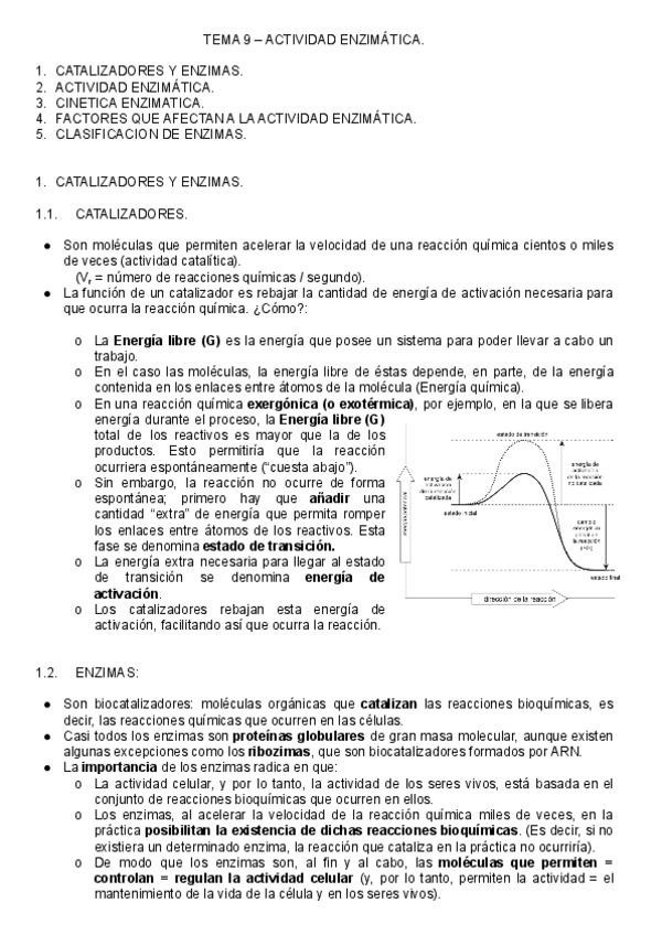 Miniatura del documento T.pdf