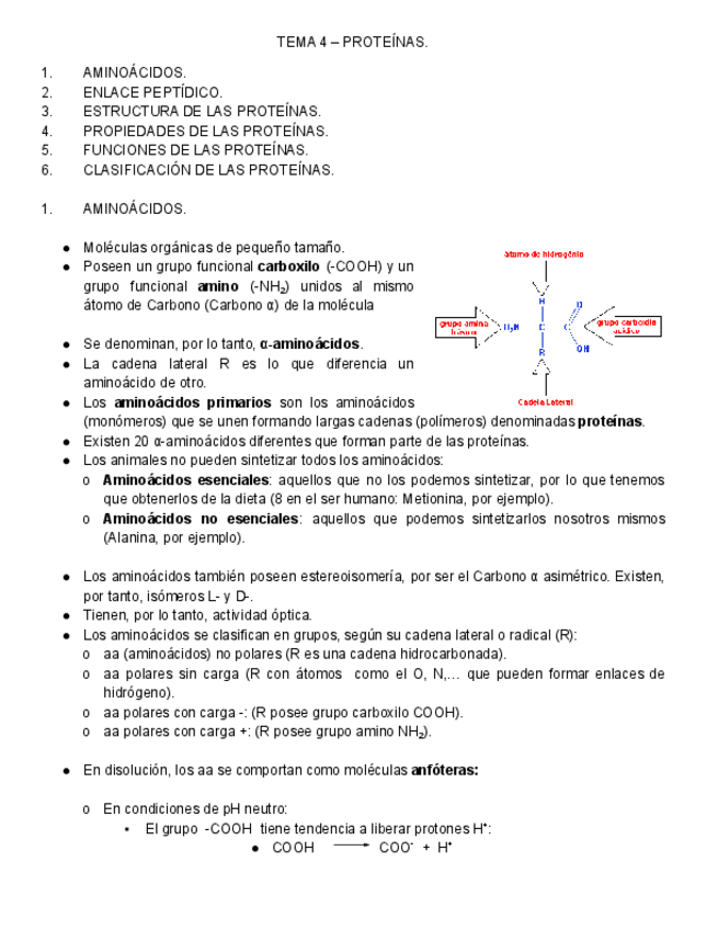 Miniatura del documento T.pdf