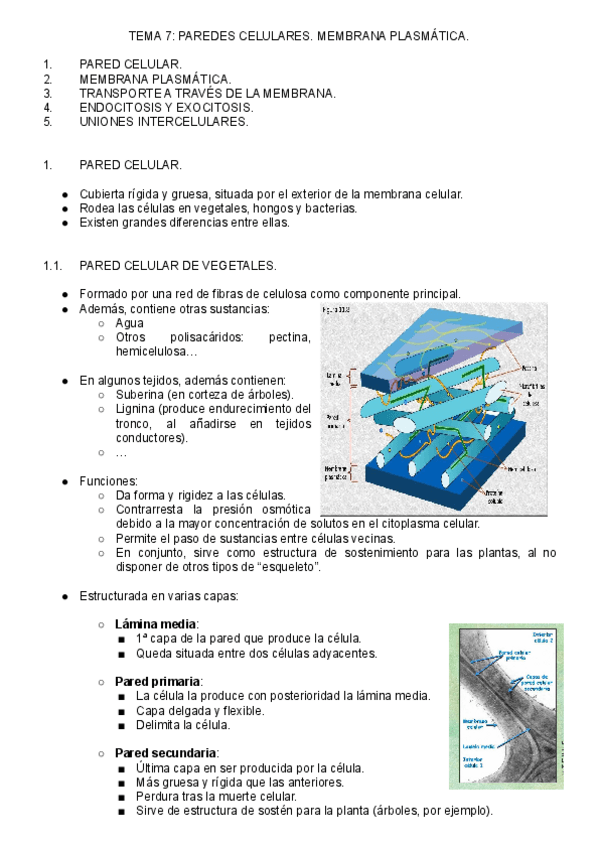 Miniatura del documento T.pdf