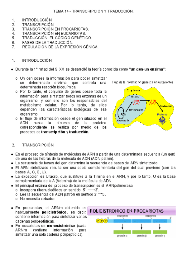 Miniatura del documento T.pdf