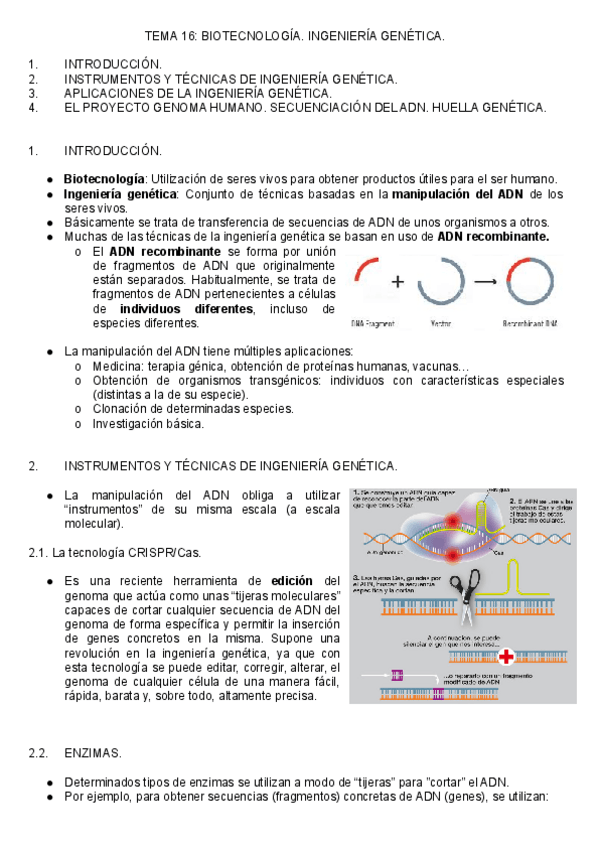 Miniatura del documento T.pdf