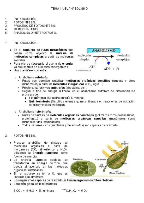Miniatura del documento T.pdf