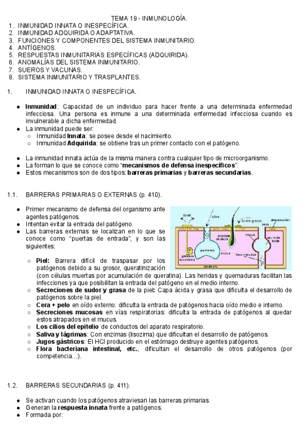 Miniatura del documento T.pdf