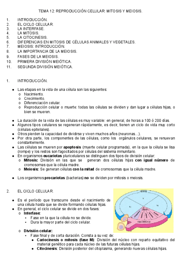 Miniatura del documento T.pdf