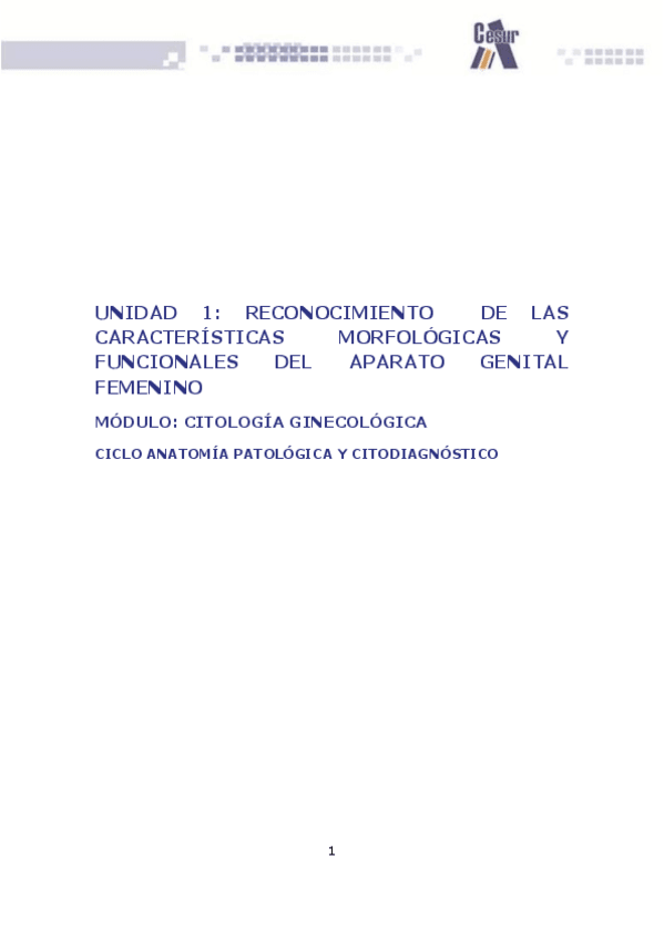 Miniatura del documento UD1 CIGI.pdf