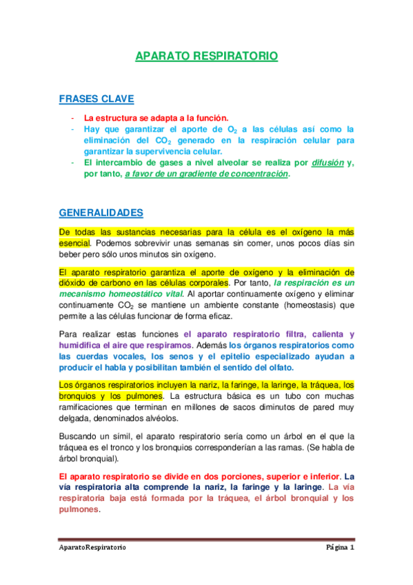 Miniatura del documento APARATO-RESPIRATORIO-1.pdf