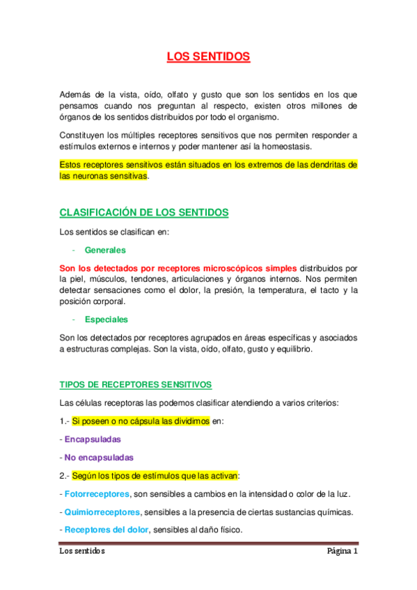 Miniatura del documento LOS-SENTIDOS.pdf
