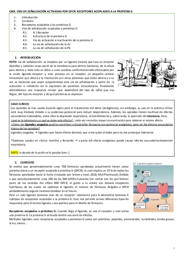 Miniatura del documento CM9.vias de señalizacion activadas GPCR