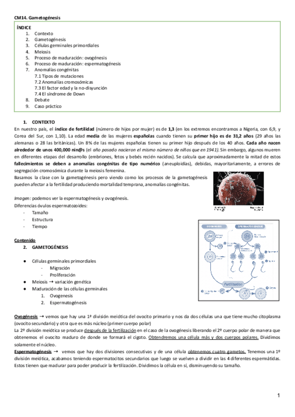 Miniatura del documento CM14. Gametogenesis.pdf
