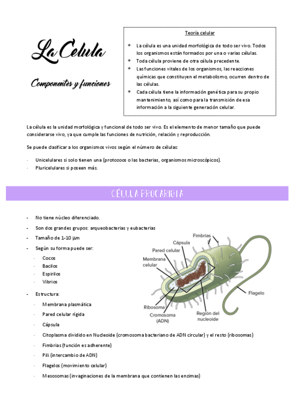 Miniatura del documento Tema 9-La celula componentes y funcion.pdf