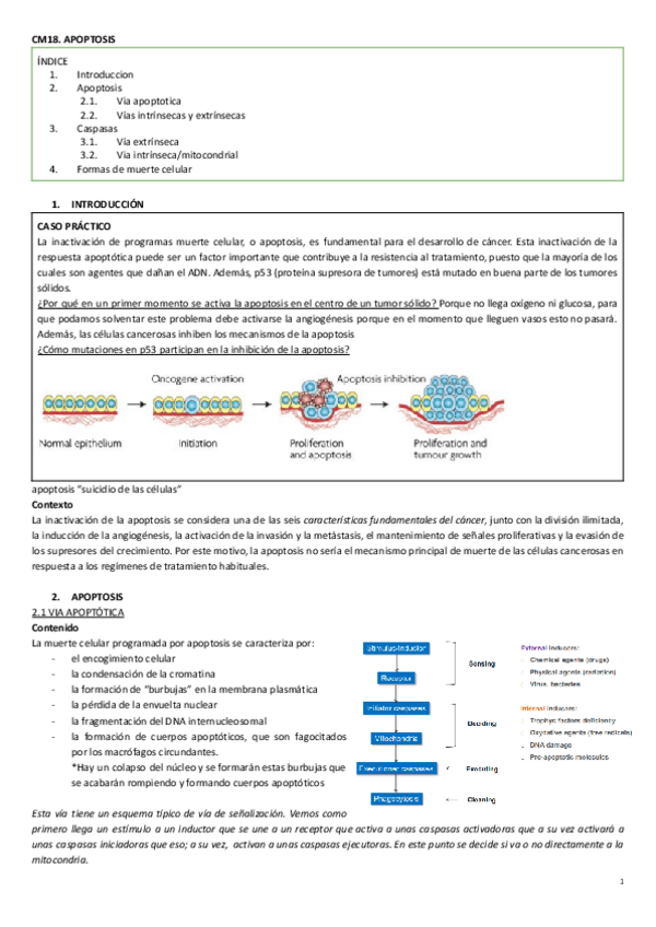 Miniatura del documento CM18. Apoptosis.pdf