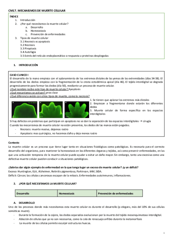 Miniatura del documento CM17.mecanismos de muerte celular.pdf