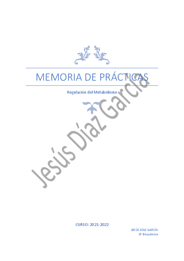 Miniatura del documento Memoria-de-Practicas-regu.pdf