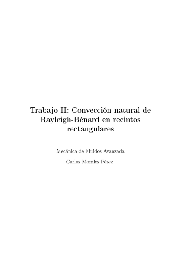 Miniatura del documento Trabajo Convección Natural.pdf