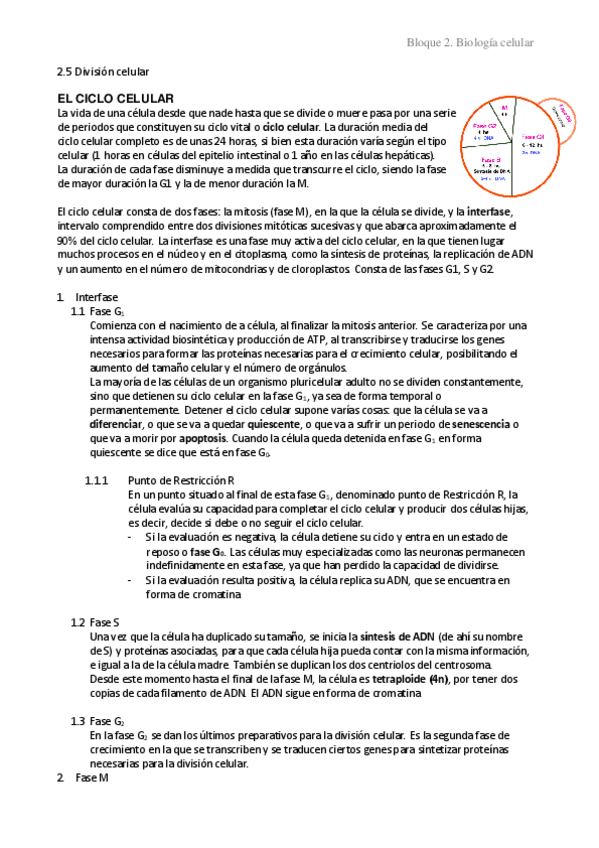 Miniatura del documento 2.5 División celular
