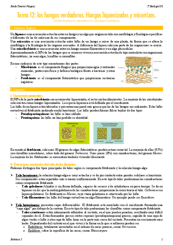 Miniatura del documento Tema-12-Botanica-I.pdf