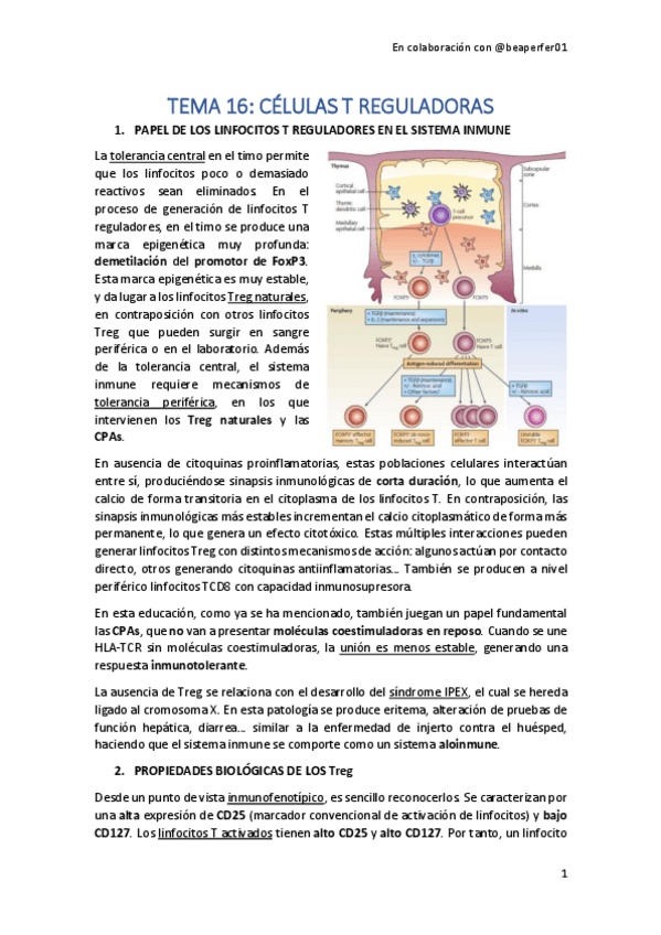 Miniatura del documento TEMA-16.pdf