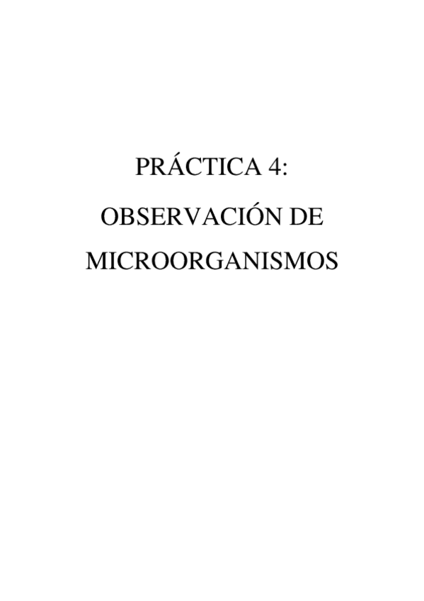 Miniatura del documento practica-4-biologia-Ana-Garcia.pdf