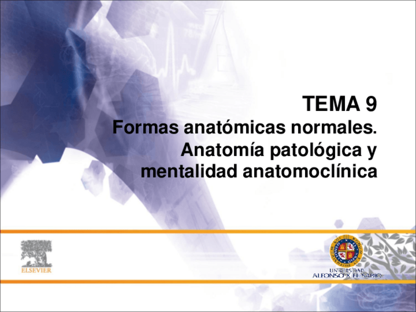 Miniatura del documento 09-Formas-anatomicas-normales.pdf