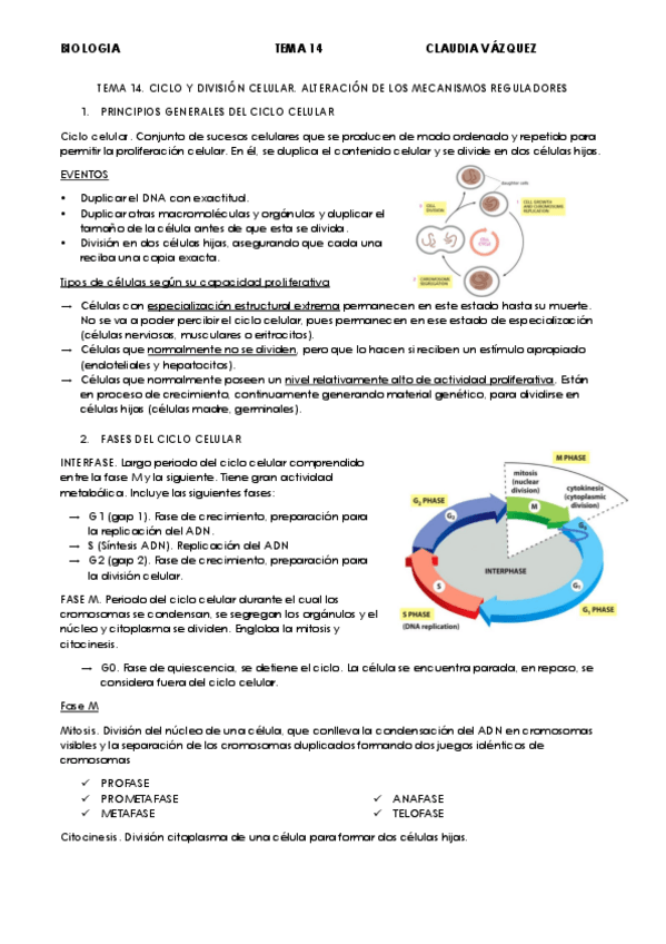 Miniatura del documento TEMA-14.pdf