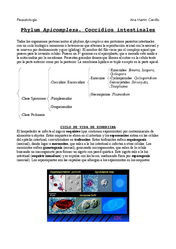 Miniatura del documento coccidios-intestinales.pdf