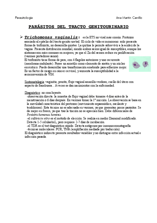 Miniatura del documento parasitosgenitalesmuscularesypulmonares.pdf