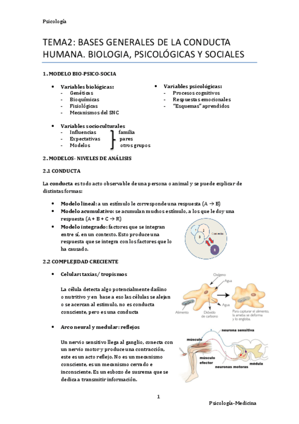 Miniatura del documento Tema-2.pdf