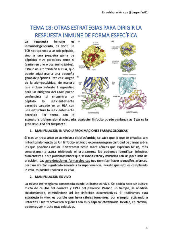 Miniatura del documento TEMA-18.pdf