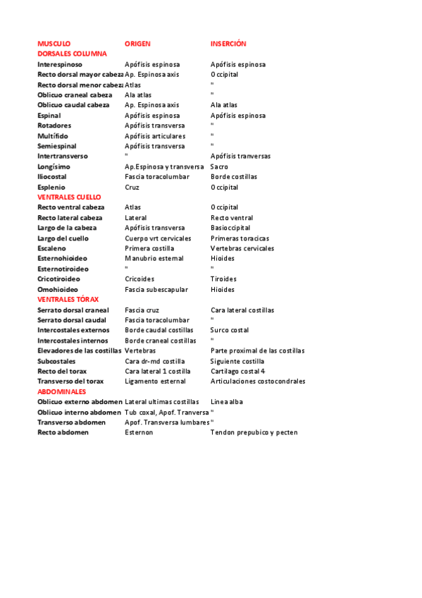 Miniatura del documento excel-todo-musculos.pdf