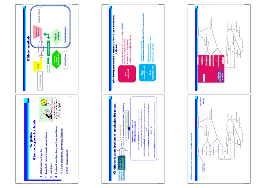 Miniatura del documento 5.pdf