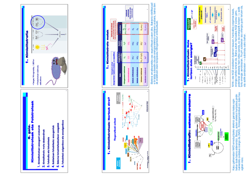 Miniatura del documento 6.pdf
