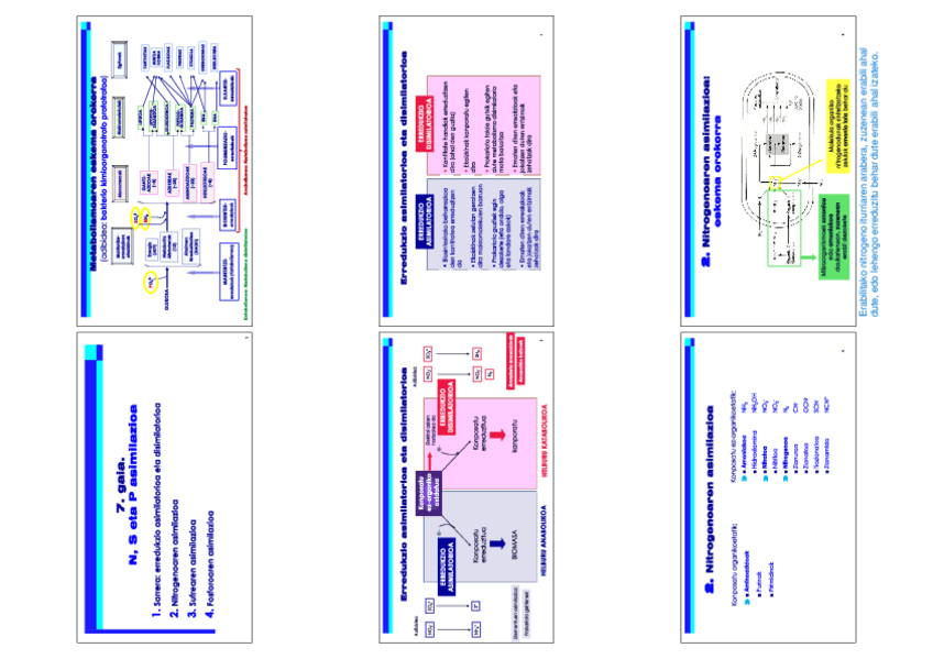 Miniatura del documento 7.pdf