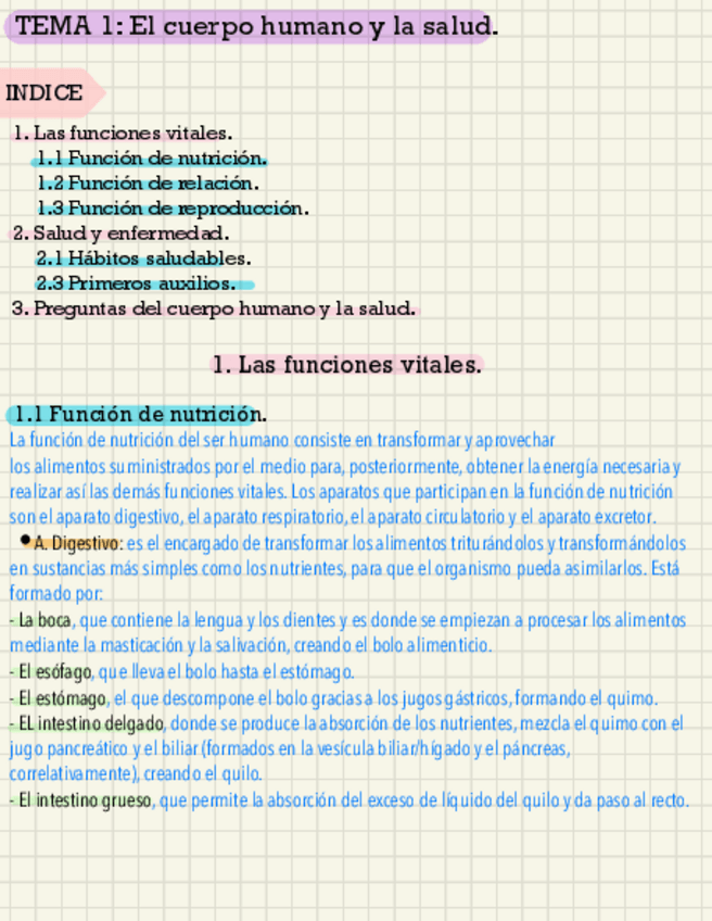 Miniatura del documento Naturales-EL-CUERPO-HUMANO.pdf