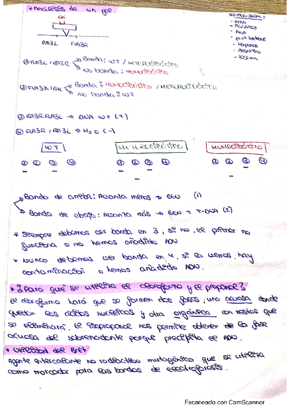 Miniatura del documento Preguntas-examen-practicas.pdf